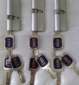 Lõi khóa 1 đầu chìa (MỞ RA + MỞ VÀO) SALY (48+33)