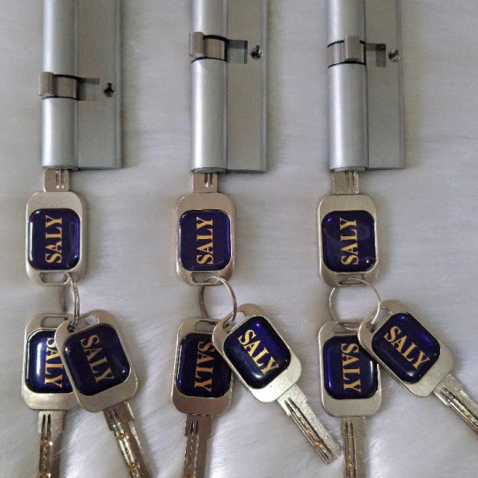 Lõi khóa 1 đầu chìa (MỞ RA + MỞ VÀO) SALY (48+33)